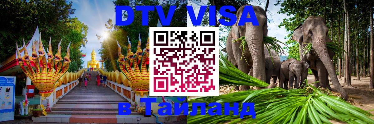 Оформление DTV визы под ключ: стоимость и тарифы, только загранпаспорт - Новошахтинск  07.12.2025 